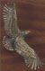 3/4" x 4" Engraved Postal Logo for Eagle Cast Plaque