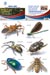 Removeable Wall Art 1 - Spiders and Bugs - 5 Sheets Per Pack