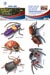 Removeable Wall Art 2 - Spiders and Bugs - 5 Sheets per Pack