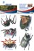 Removeable Wall Art 3 - Spiders and Bugs - 5 Sheets Per Pack