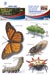 Removeable Wall Art 4 - Spiders and Bugs - 5 Sheets Per Pack