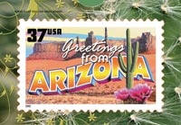 GREETINGS FROM ARIZONA POSTCARD PUZZLE( 5 PACK )