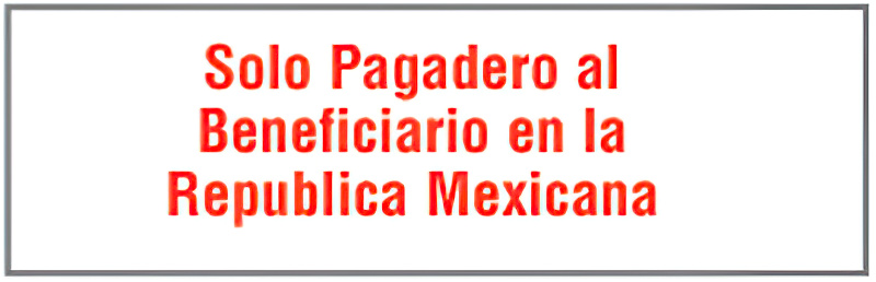 EA07,UPGRADE RUBBER STAMP SOLO PAGADERO